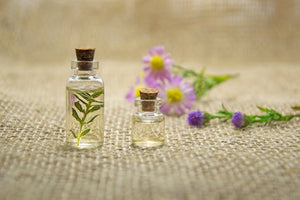 Oil based perfumes